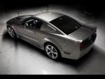 Saleen S302 Extreme 2008 года